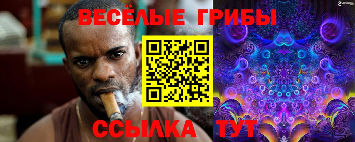 Псилоцибиновые грибы GOLDEN TEACHER  Псилоцибиновые грибы GOLDEN TEACHER  Пятигорск  Вход с VPN 